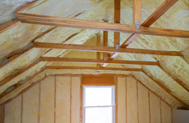 Best Insulation Maintenance and Repair in Canadian, TX