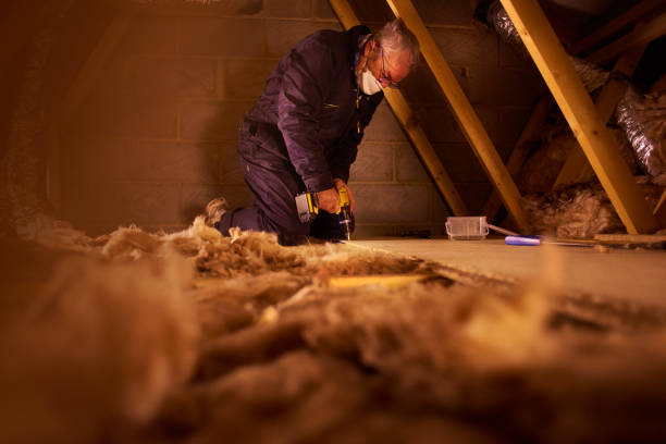 Best Residential Insulation in Canadian, TX
